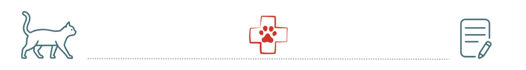 healthy dog supported by pet insurance at Anchor Bay Veterinary Center New Baltimore MI
